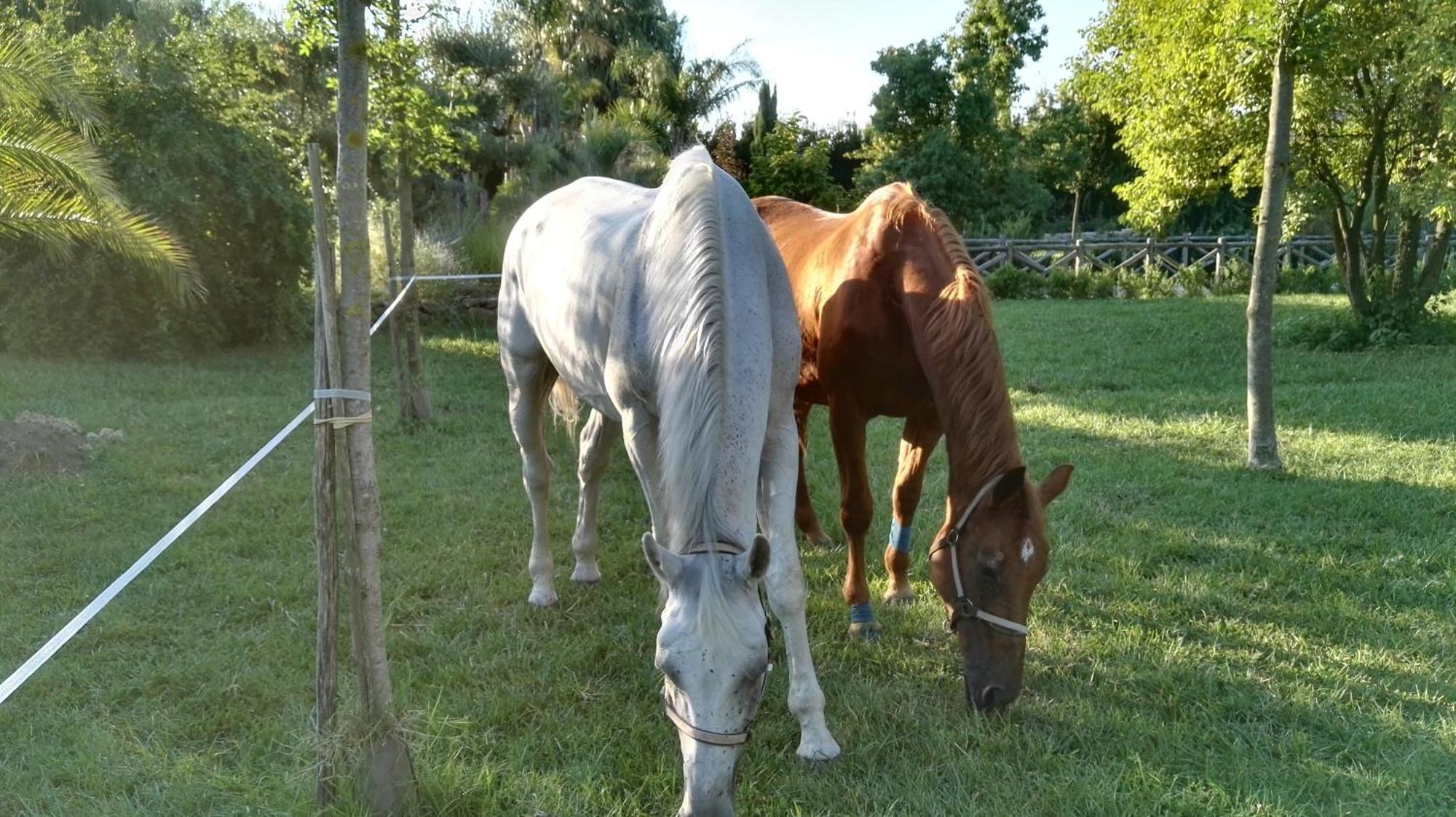 Tenuta Le Pantanelle Villa Sezze Buitenkant foto